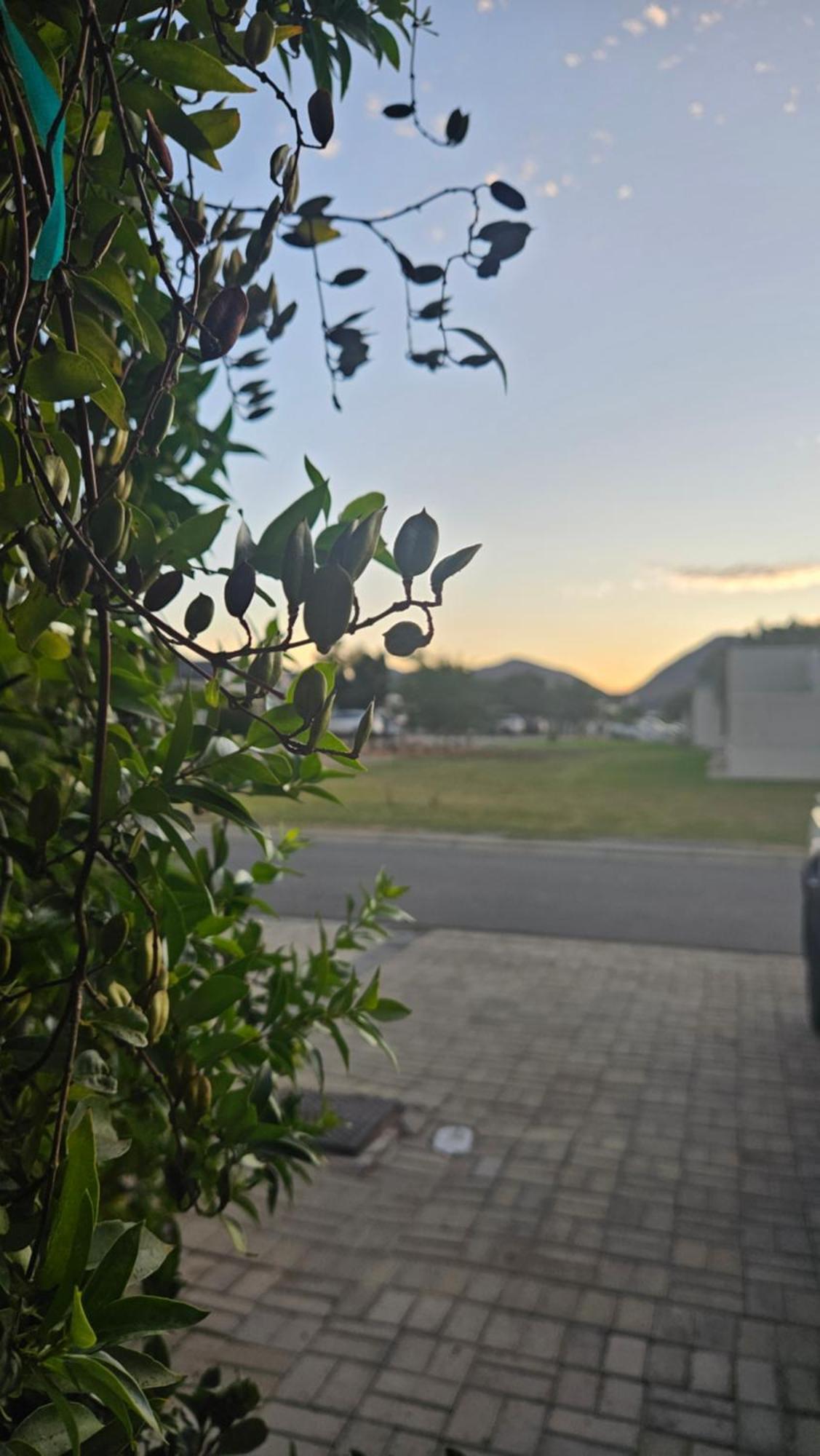 Lily'S Rest, Village On Silwerstrand, Robertson Exterior photo